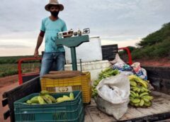 Governo do Estado e federal investirão R$ 20 milhões na compra de alimentos da agricultura familiar para o combate à fome